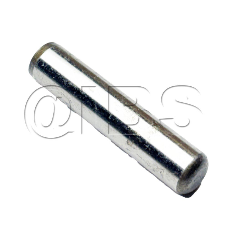 30004318